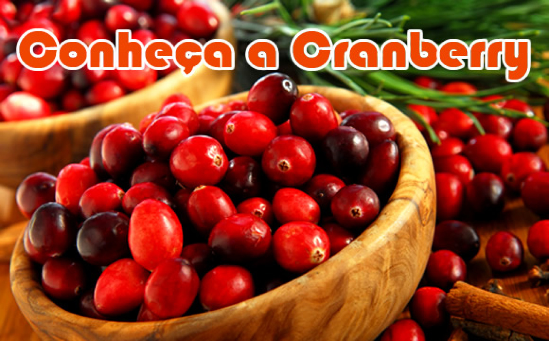 Cranberry A Fruta Rica Em Vitamina C E ótima Para Emagrecer | Receitas ...