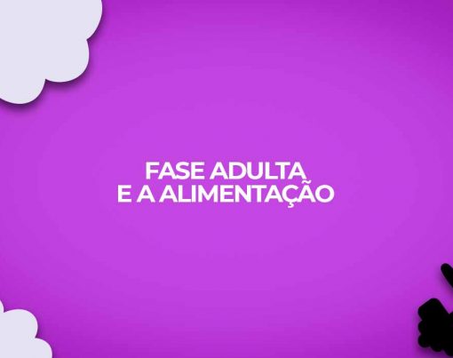 fase adulta alimentacao