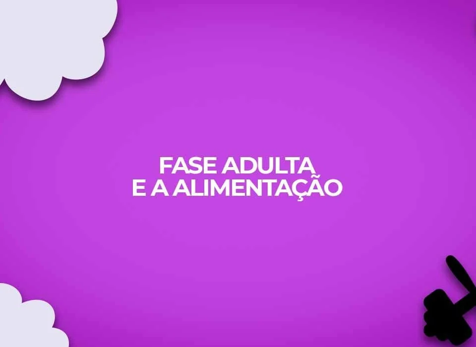 fase adulta alimentacao