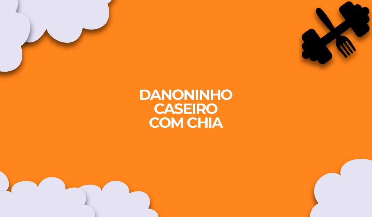 danoninho caseiro com chia light
