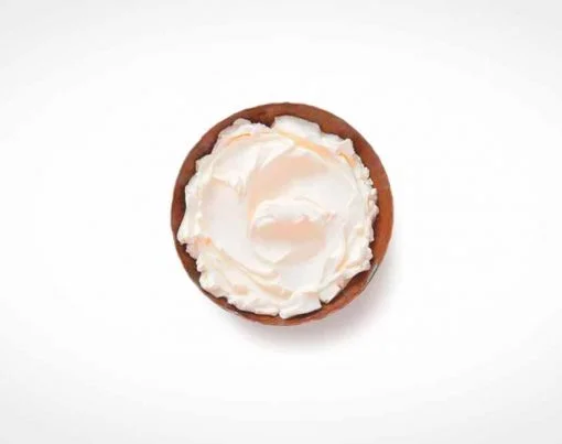 Receita-FIT-de-requeijao-caseiro-light-para-dietas