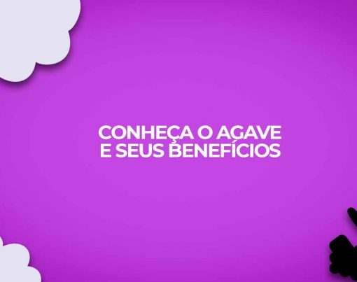 agave beneficios planta