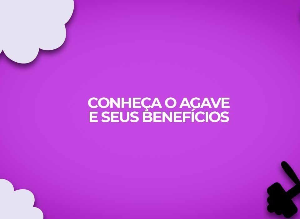 agave beneficios planta