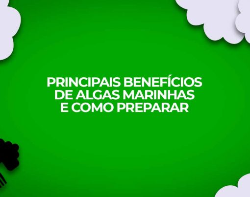 como preparar algas marinhas receitas fit