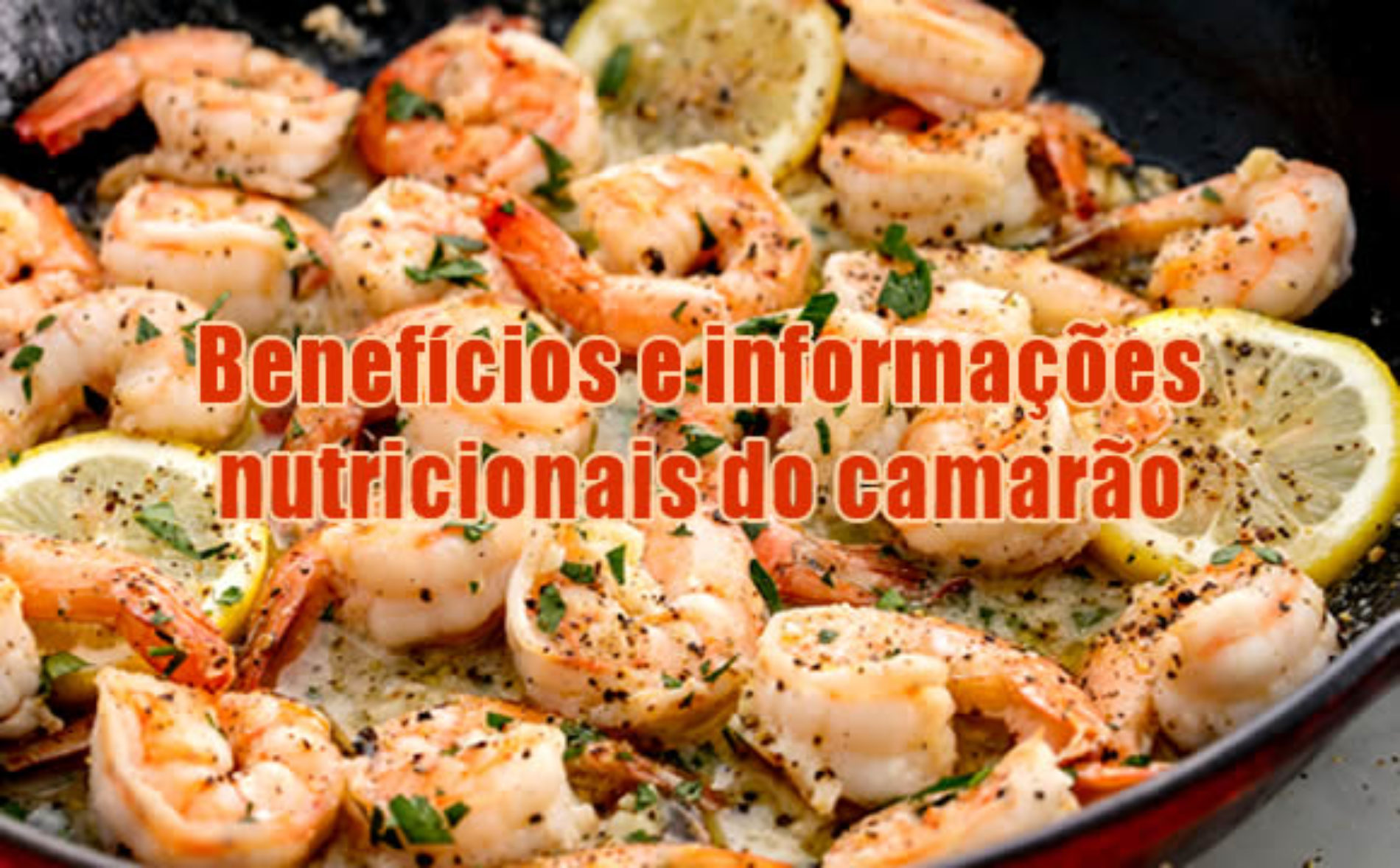Benefícios De Comer Camarão - BRAINCP