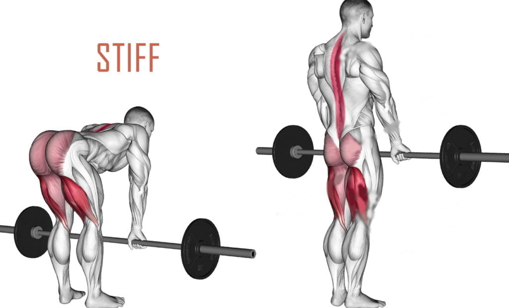 Conheça o exercício Stiff e seus benefícios