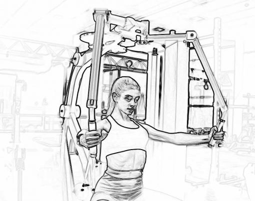 peck deck voador exercicio