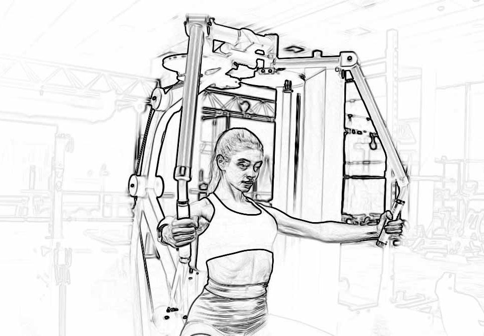 peck deck voador exercicio