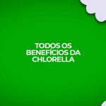 chlorella vulgaris todos benefícios para saúde.