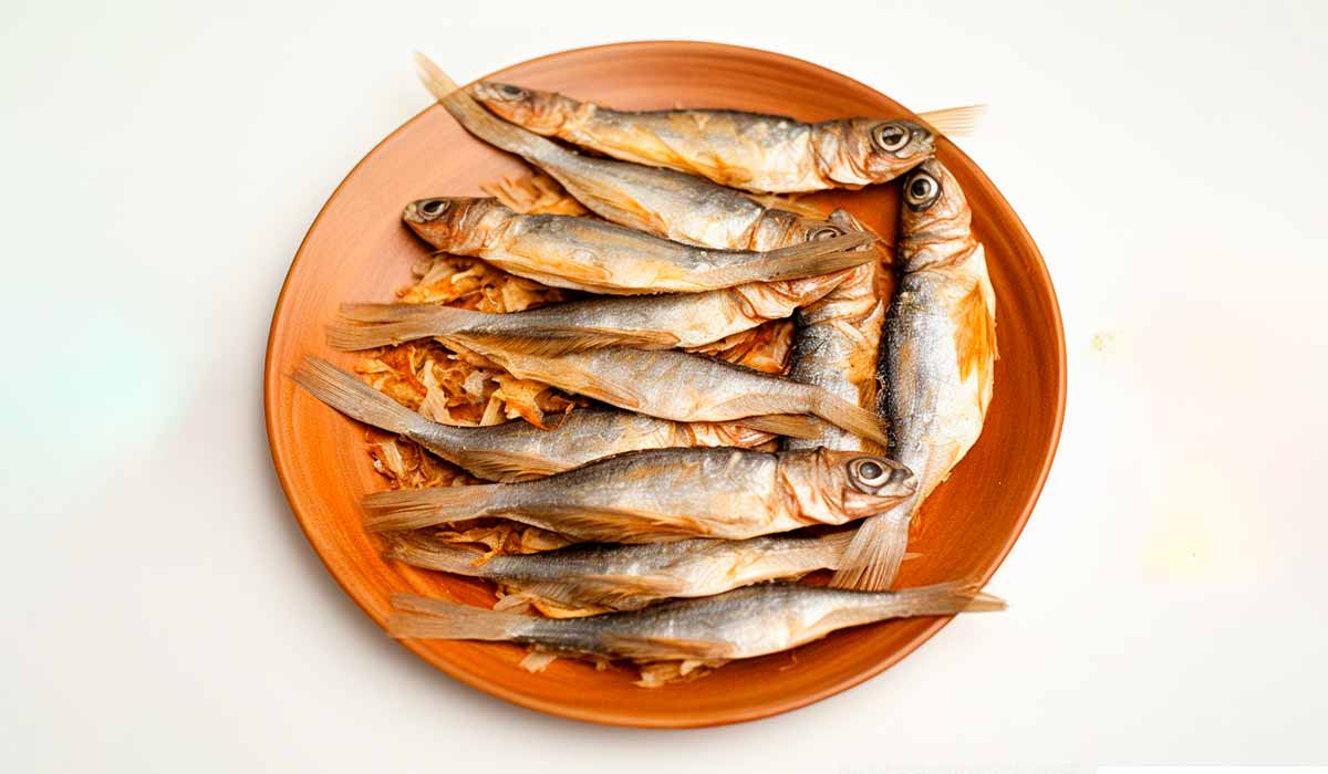 Top melhores peixes para dietas fitness.
