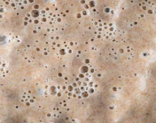 Beneficios-do-fermento-natural-para-dietas