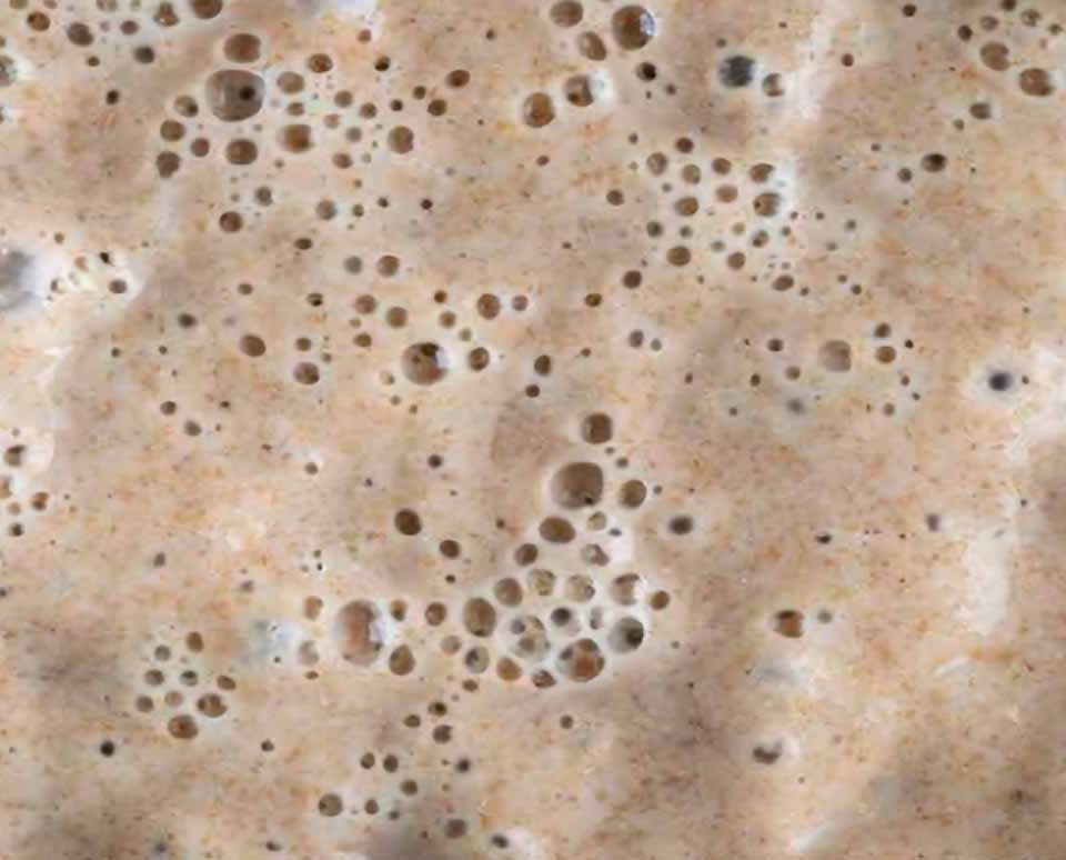 Beneficios-do-fermento-natural-para-dietas