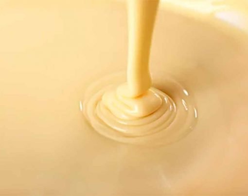 como-fazer-leite-condensado-vegano-com-leite-de-soja-para-dietas