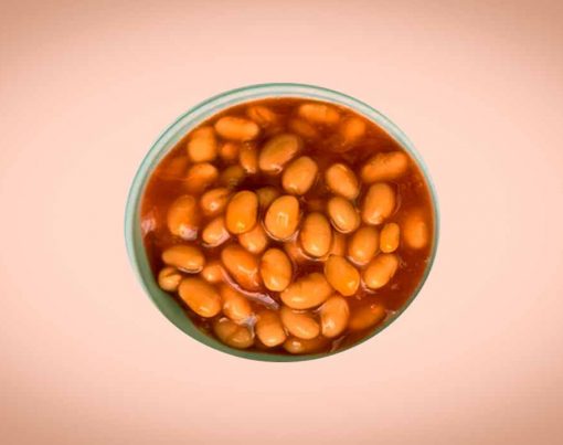 feijoada-vegana-light-para-dietas