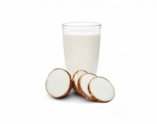 Leite-caseiro-de-inhame-vegano-para-dietas