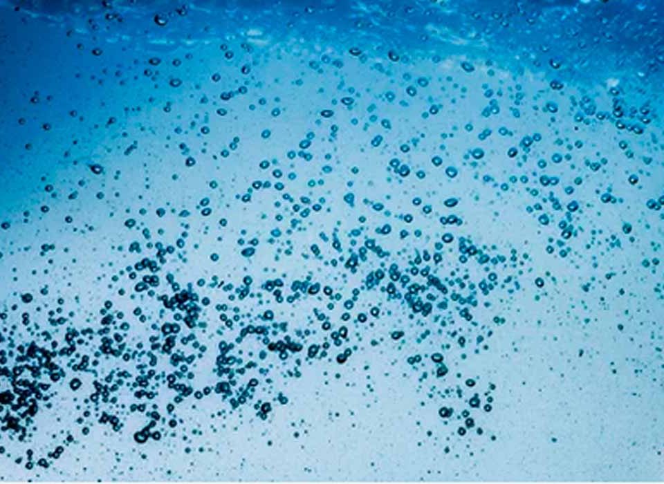 alimentos-que-ajudam-a-hidratar-nosso-corpo