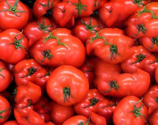 principais-beneficios-do-tomate-para-dietas-fitness