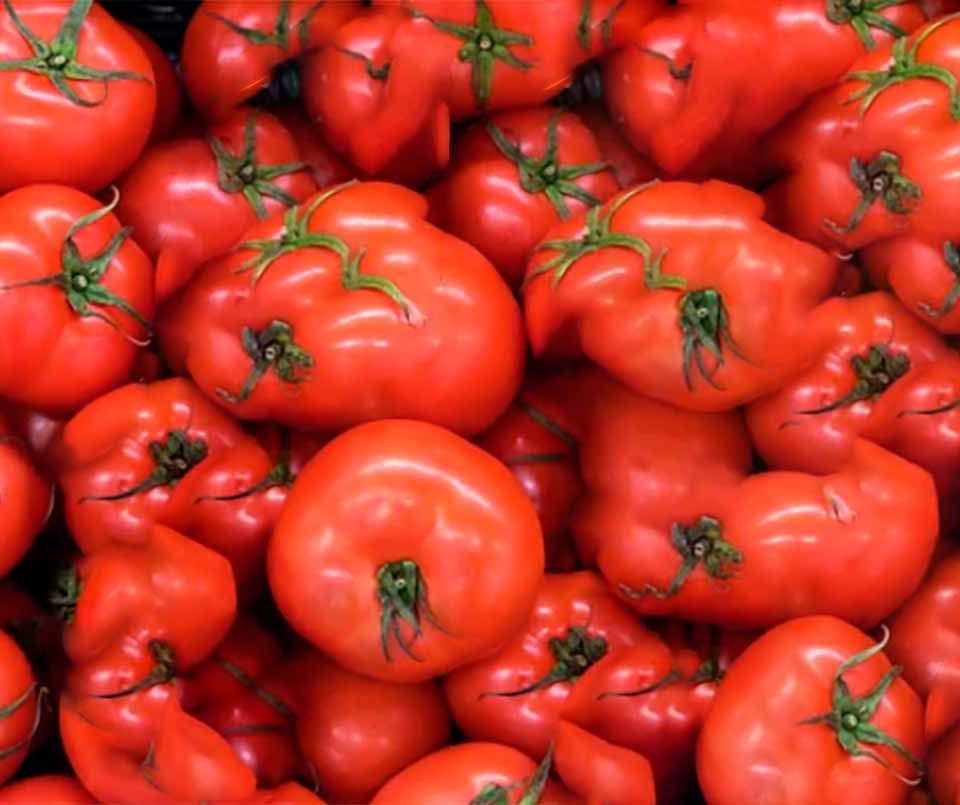 principais-beneficios-do-tomate-para-dietas-fitness