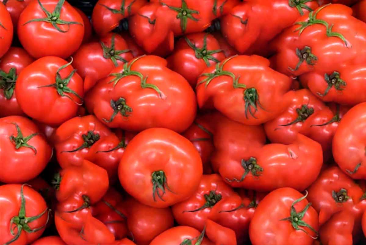 Principais beneficios do tomate para dietas fitness.
