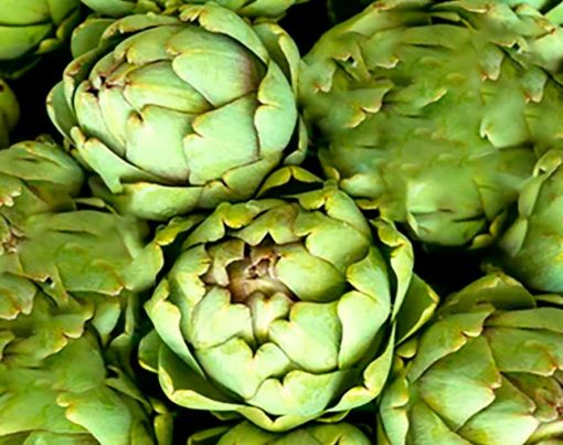 Pate-de-alcachofra-vegano-e-vegetariano-para-dietas