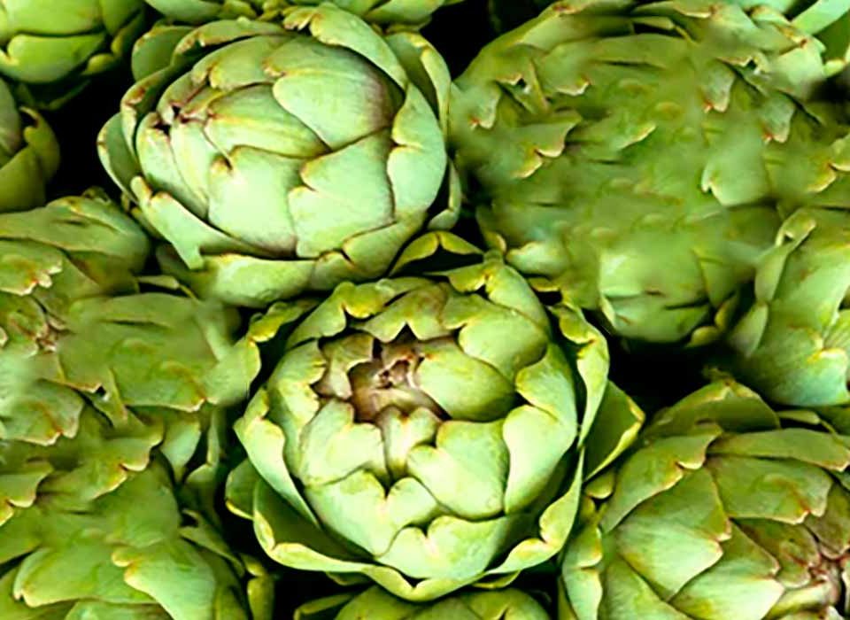 Pate-de-alcachofra-vegano-e-vegetariano-para-dietas