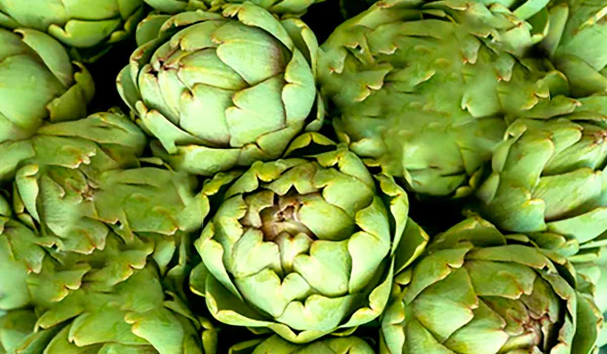 Patê de alcachofra vegano e vegetariano para dietas.