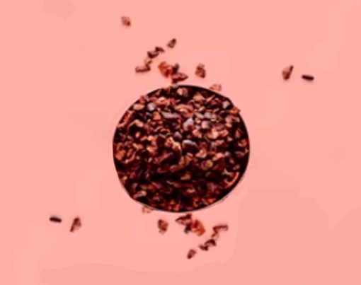 O-que-sao-NIBS-de-cacau-e-quais-seus-beneficios