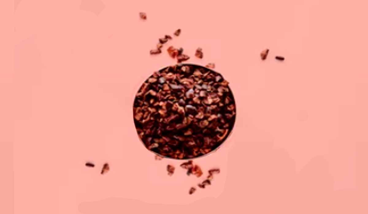 O que são NIBS de cacau e quais seus benefícios?