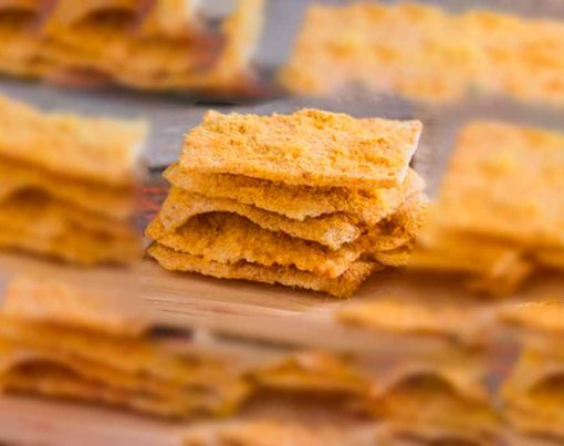 Biscoito-salgado-de-parmesao-para-dietas-Low-Carb