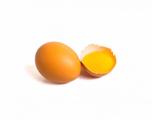diferencas-entre-ovo-pasteurizado-e-ovo-comum-em-dietas-fitness