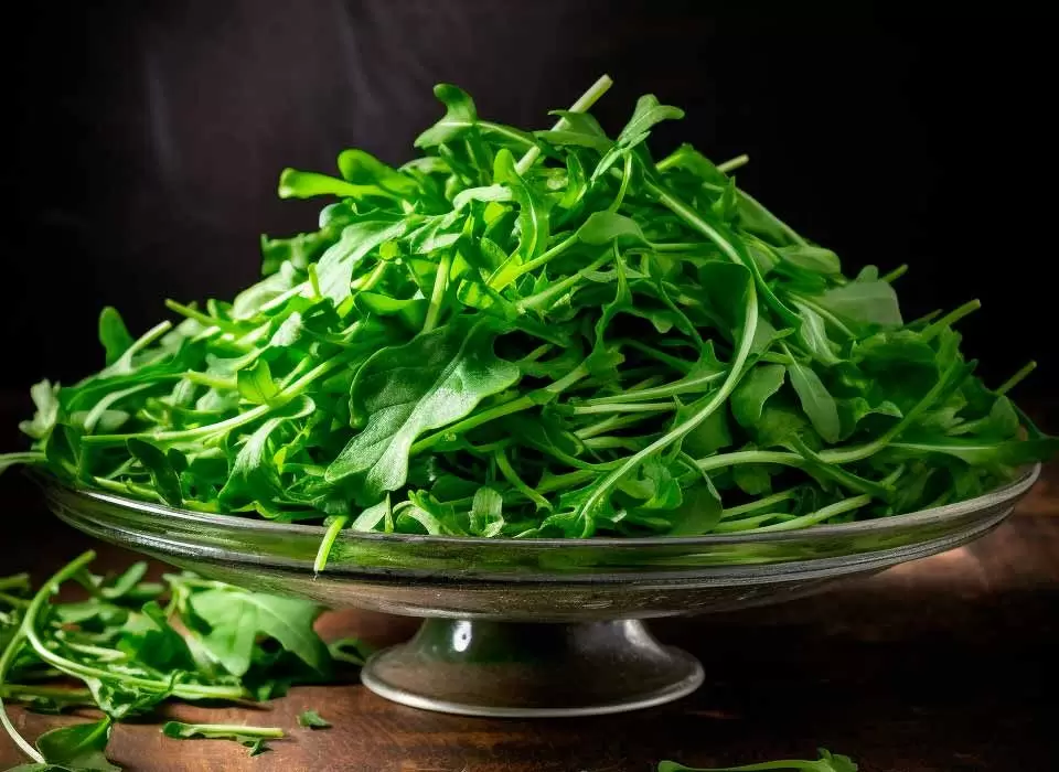 7-beneficios-da-rucula-para-dietas